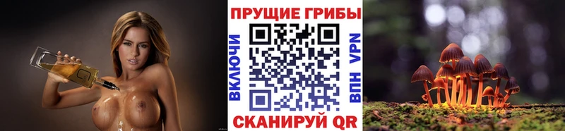 Галлюциногенные грибы GOLDEN TEACHER  Купить где  Мариинский Посад 